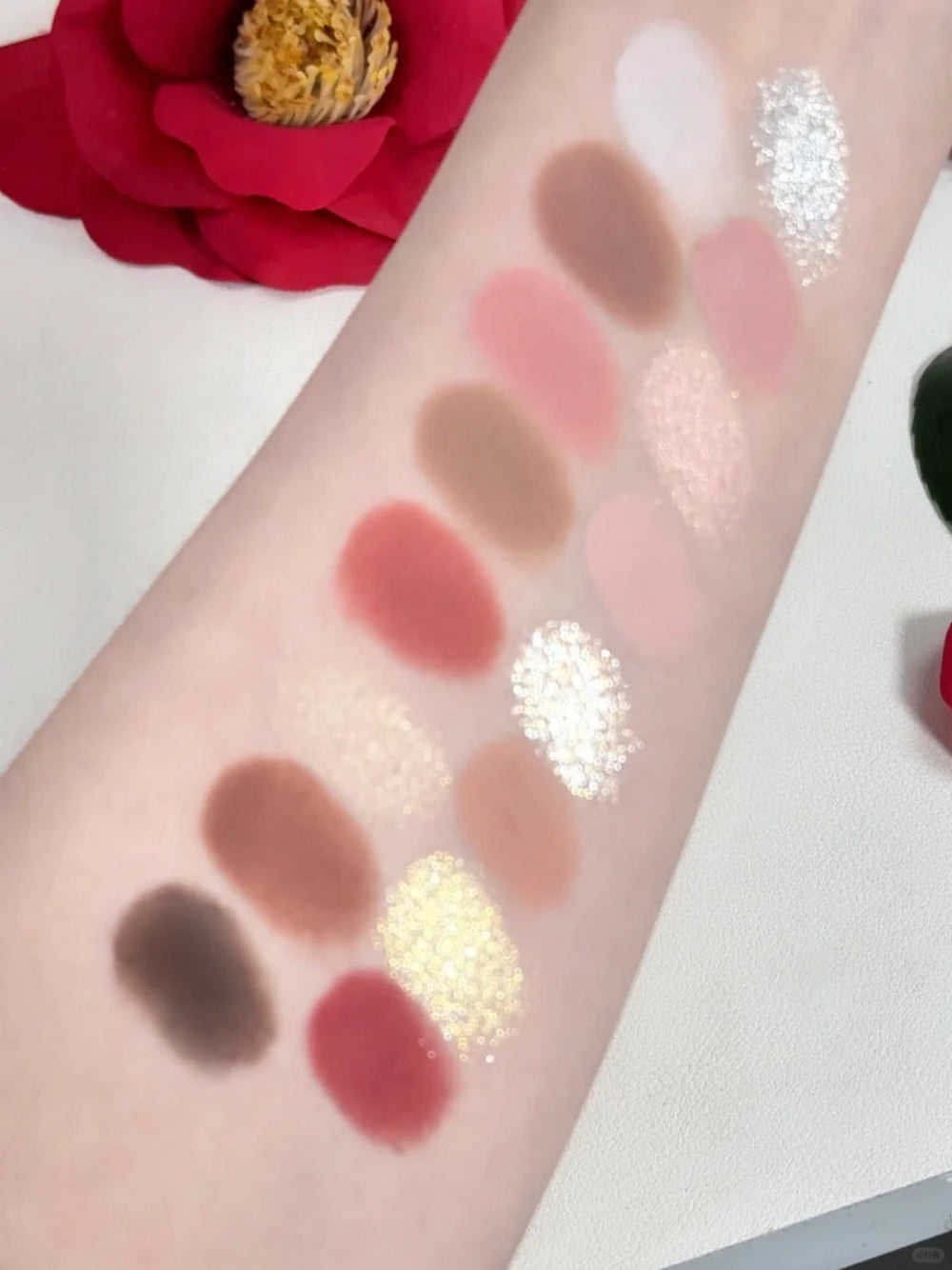 CHEERYEP (QIANYAN) Eyeshadow Palette 12 Admiring